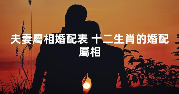 夫妻屬相婚配表 十二生肖的婚配屬相
